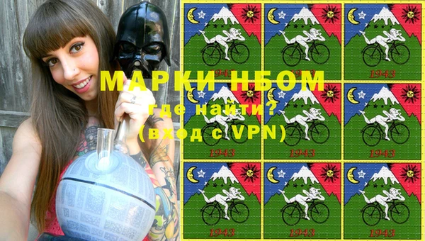 стаф Балахна