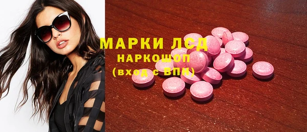 стаф Балахна