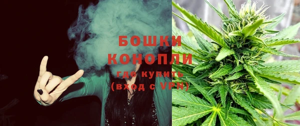 ПСИЛОЦИБИНОВЫЕ ГРИБЫ Балабаново