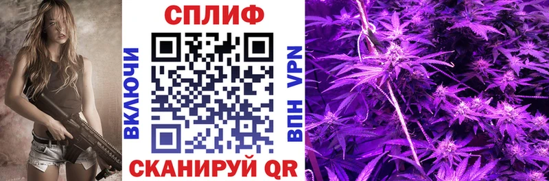 Канабис семена  где купить наркоту  Верхотурье 